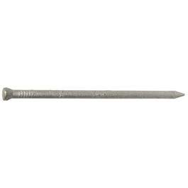 8D Galvanized Casing Nails, 2.5-In., 1-Lb.